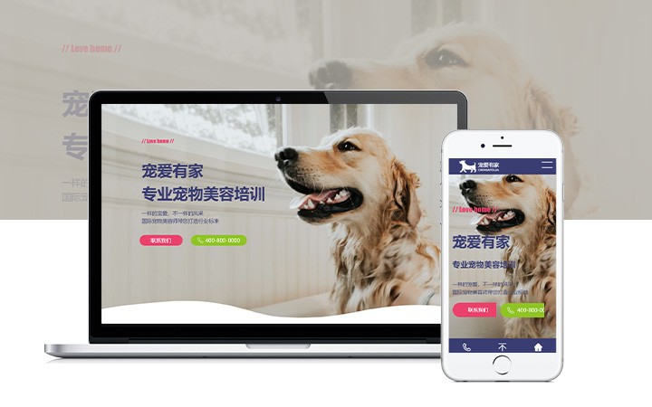 营销型网站案例